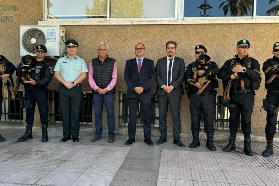 Nuevos Caninos de Gendarmería buscan nombre