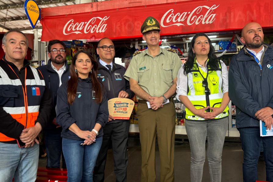 En O’Higgins: Fiscalizan terminales de buses ante Fiestas Patrias