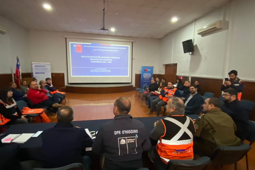 Delegado Presidencial Regional participa en Mesa Prevención de Incendios Forestales – Provincia de Cachapoal