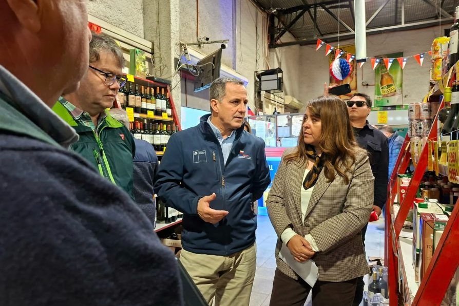 Delegada Presidencial Susana Pinto, junto a diversas autoridades intensifican fiscalizaciones a locales de venta de alimentos previo a Fiestas Patrias